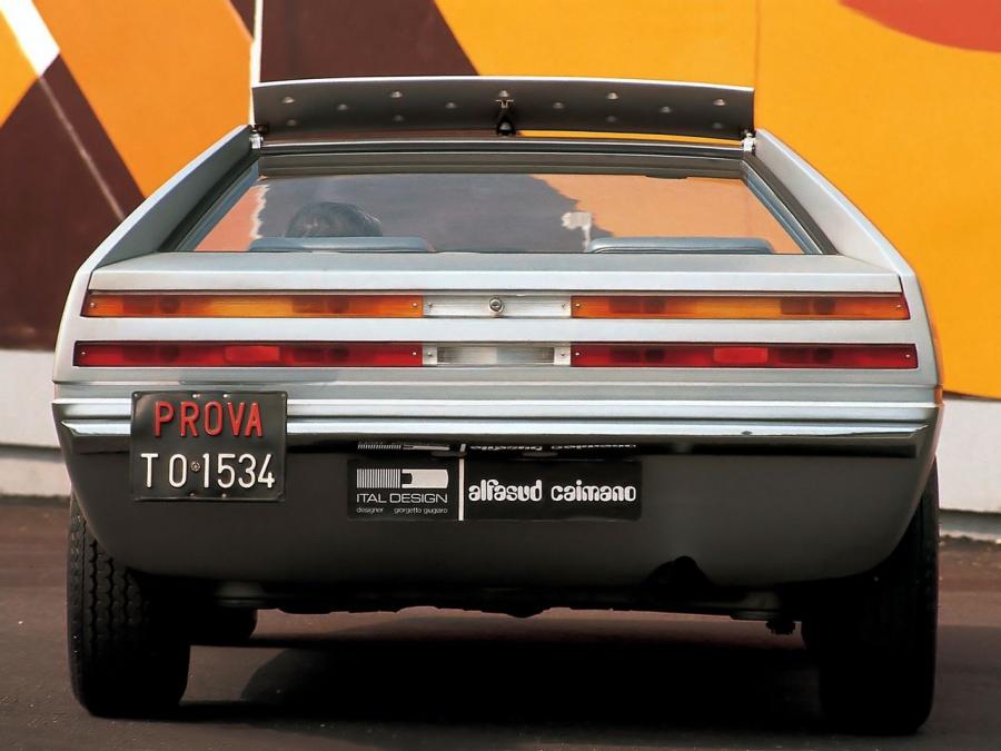  Alfa Romeo Alfasud Caimano Concept (901) 1971 года  (фото 24 из 32)